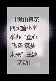微山县第四实验小学举办“童心飞扬 筑梦未来”主题活动