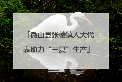 微山县张楼镇人大代表助力“三夏”生产