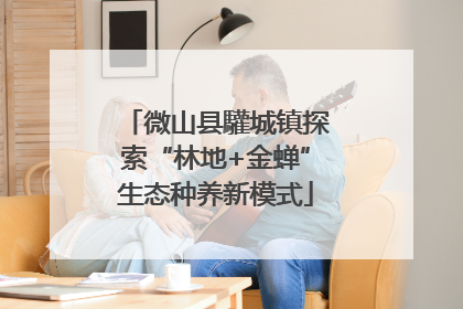 微山县驩城镇探索“林地+金蝉”生态种养新模式