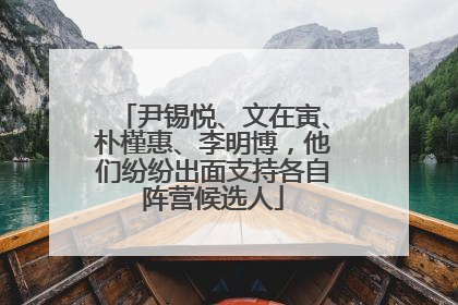 尹锡悦、文在寅、朴槿惠、李明博，他们纷纷出面支持各自阵营候选人