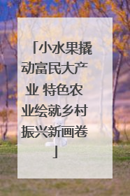 小水果撬动富民大产业 特色农业绘就乡村振兴新画卷
