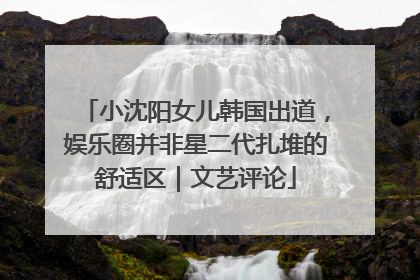 小沈阳女儿韩国出道，娱乐圈并非星二代扎堆的舒适区｜文艺评论