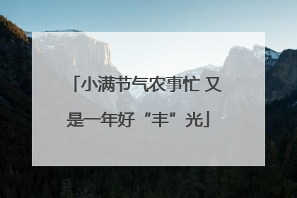 小满节气农事忙 又是一年好“丰”光