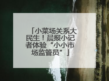 小菜场关系大民生！晨报小记者体验“小小市场监管员”