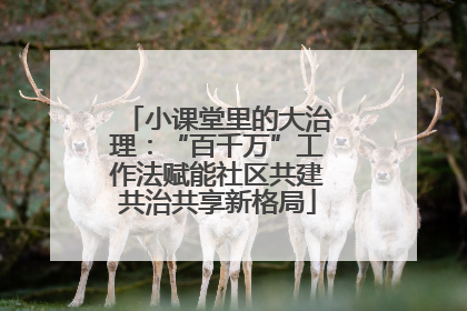 小课堂里的大治理：“百千万”工作法赋能社区共建共治共享新格局