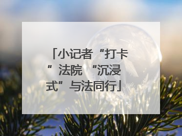 小记者“打卡”法院 “沉浸式”与法同行