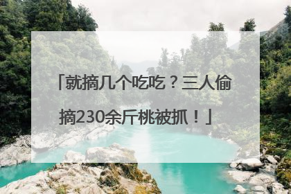 就摘几个吃吃？三人偷摘230余斤桃被抓！