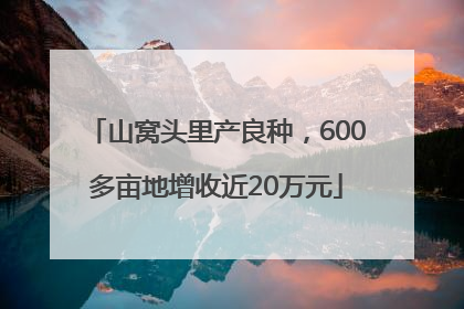 山窝头里产良种，600多亩地增收近20万元