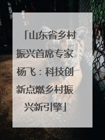 山东省乡村振兴首席专家杨飞：科技创新点燃乡村振兴新引擎