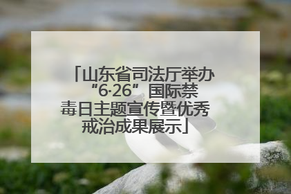 山东省司法厅举办“6·26”国际禁毒日主题宣传暨优秀戒治成果展示