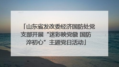 山东省发改委经济国防处党支部开展“迷彩映党徽 国防淬初心”主题党日活动