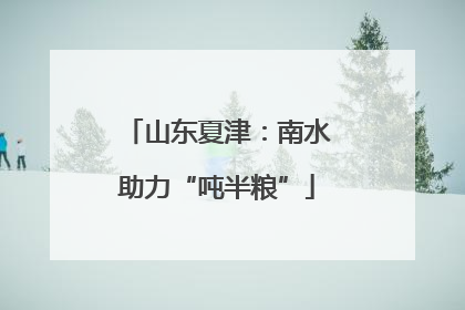 山东夏津：南水助力“吨半粮”