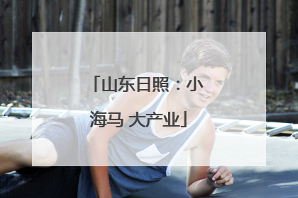 山东日照：小海马 大产业
