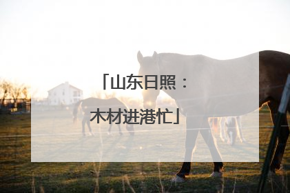 山东日照：木材进港忙