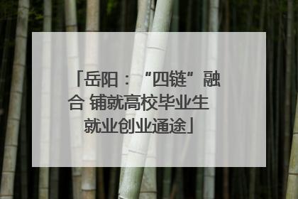 岳阳：“四链”融合 铺就高校毕业生就业创业通途
