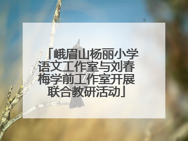峨眉山杨丽小学语文工作室与刘春梅学前工作室开展联合教研活动