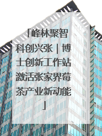 峰林聚智 科创兴张｜博士创新工作站激活张家界莓茶产业新动能