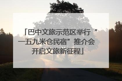 巴中文旅示范区举行“一五九米仓民宿”推介会 开启文旅新征程