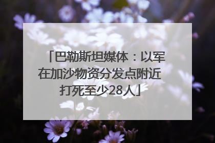 巴勒斯坦媒体：以军在加沙物资分发点附近打死至少28人