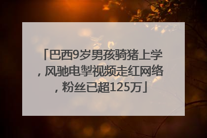 巴西9岁男孩骑猪上学，风驰电掣视频走红网络，粉丝已超125万
