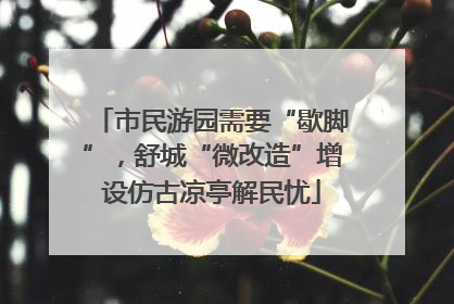 市民游园需要“歇脚”，舒城“微改造”增设仿古凉亭解民忧