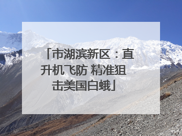 市湖滨新区：直升机飞防 精准狙击美国白蛾