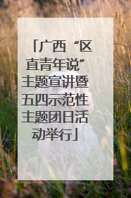 广西“区直青年说”主题宣讲暨五四示范性主题团日活动举行
