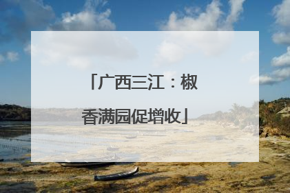 广西三江：椒香满园促增收