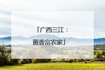 广西三江：菌香富农家