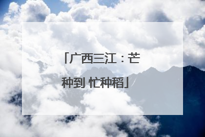 广西三江：芒种到 忙种稻