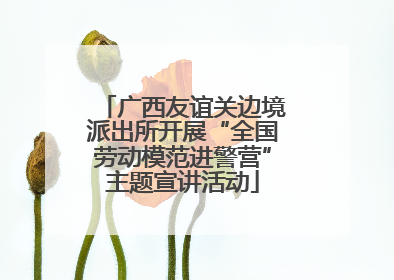 广西友谊关边境派出所开展“全国劳动模范进警营”主题宣讲活动