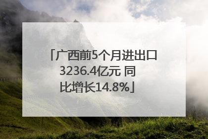 广西前5个月进出口3236.4亿元 同比增长14.8%