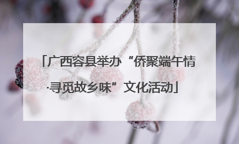 广西容县举办“侨聚端午情·寻觅故乡味”文化活动