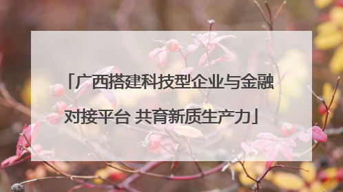 广西搭建科技型企业与金融对接平台 共育新质生产力