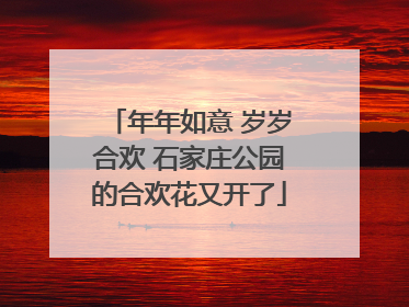年年如意 岁岁合欢 石家庄公园的合欢花又开了
