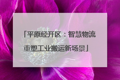 平原经开区：智慧物流重塑工业搬运新场景