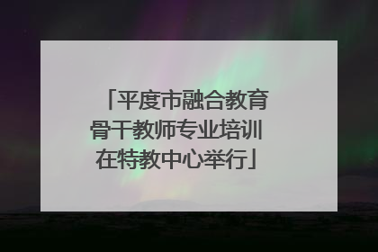 平度市融合教育骨干教师专业培训在特教中心举行