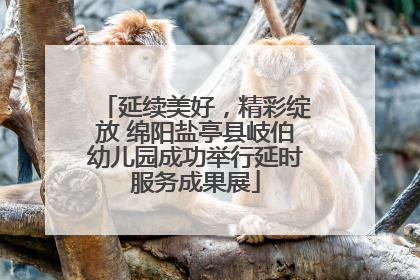 延续美好，精彩绽放 绵阳盐亭县岐伯幼儿园成功举行延时服务成果展
