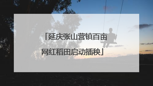 延庆张山营镇百亩网红稻田启动插秧