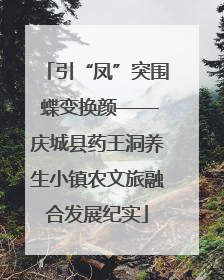 引“凤”突围 蝶变换颜——庆城县药王洞养生小镇农文旅融合发展纪实