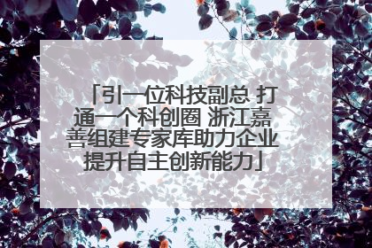 引一位科技副总 打通一个科创圈 浙江嘉善组建专家库助力企业提升自主创新能力