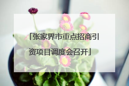 张家界市重点招商引资项目调度会召开
