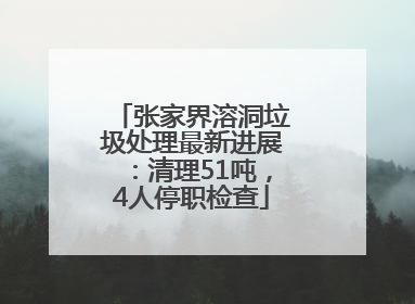 张家界溶洞垃圾处理最新进展：清理51吨，4人停职检查