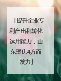 提升企业专利产出和转化运用能力，山东聚焦4方面发力