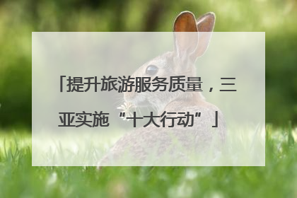 提升旅游服务质量，三亚实施“十大行动”