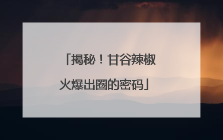 揭秘！甘谷辣椒火爆出圈的密码