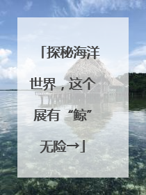 探秘海洋世界，这个展有“鲸”无险→