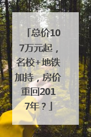 总价107万元起，名校+地铁加持，房价重回2017年？