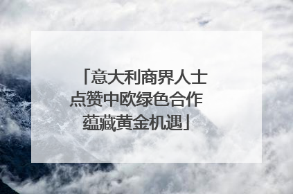 意大利商界人士点赞中欧绿色合作蕴藏黄金机遇