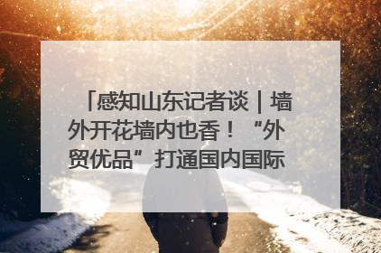 感知山东记者谈｜墙外开花墙内也香！“外贸优品”打通国内国际市场“旋转门”